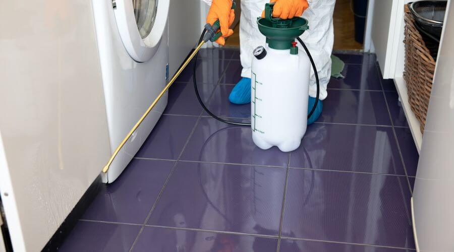 Why choose Dardenne Prairie Apartment Pest Control for apartment pest control in Dardenne Prairie